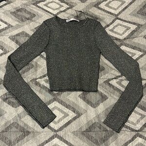 NWOT Zara Silver Metallic Ribbed Cropped Top